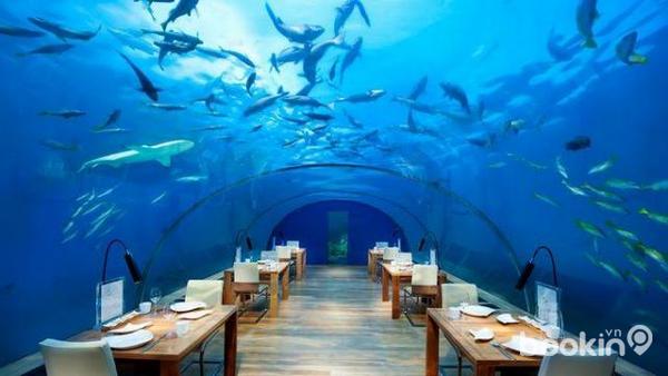 nhà hàng ở maldives 