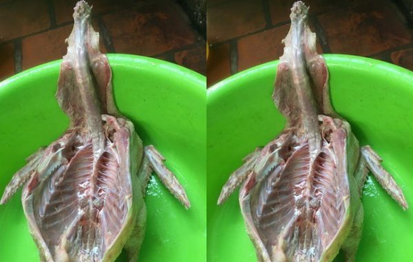 Lên mạng khoe thành quả làm thịt ngan, nhận lại phản hồi khó đỡ