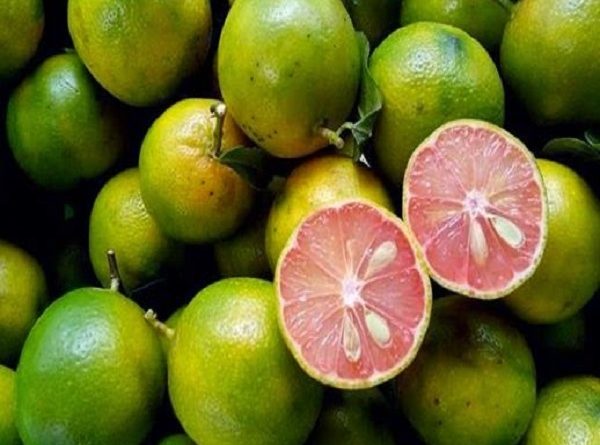 Soi cầu kqxsmb khi mơ thấy quả chanh