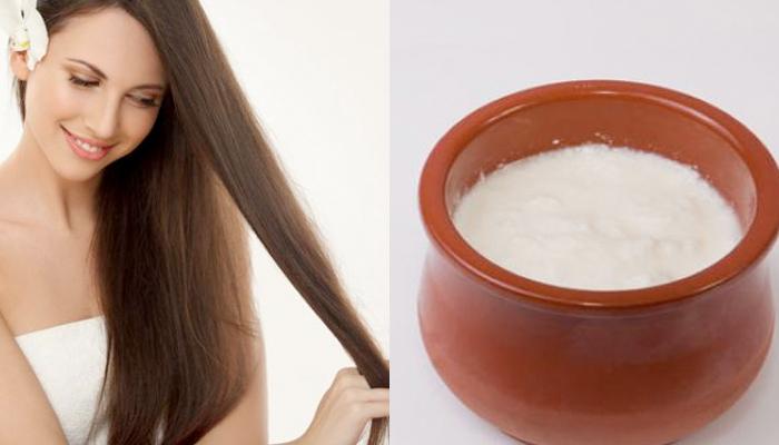 9 loại mặt nạ bằng sữa chua cho tóc phục hồi dày đẹp hết ý