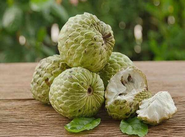 Giải mã giấc mơ thấy quả na là điềm gì?