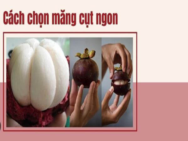 cach-chon-mang-cut-ngon-khong-suong-it-ai-biet