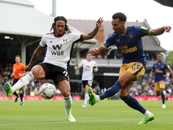 Nhận định bóng đá Fulham vs Newcastle, 02h00 ngày 28/1