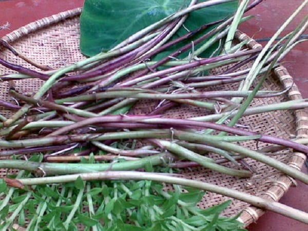 Lựa chọn bồng khoai tươi ngon là cách nấu bống khoai không bị ngứa