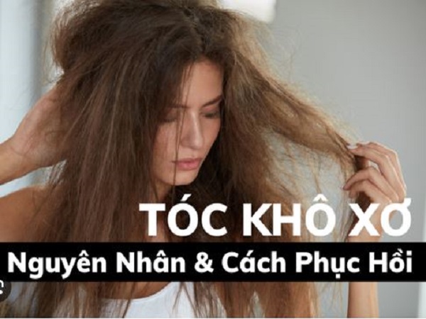 Nguyên nhân và cách dưỡng tóc không bị khô xơ chẻ ngọn