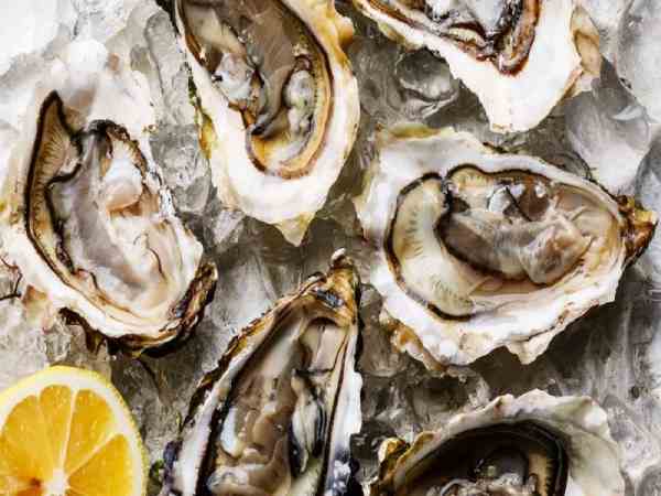 Ăn hàu cải thiện tâm trạng, giảm căng thẳng và lo âu