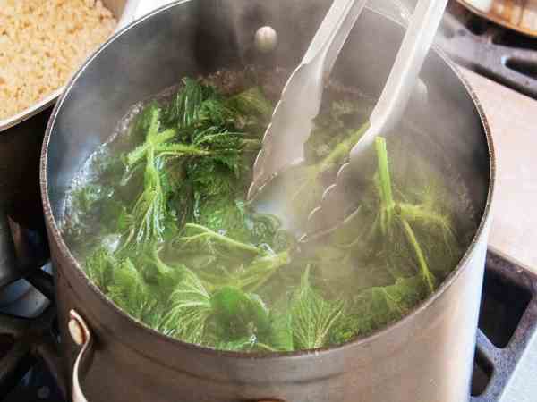 Không đậy nắp nồi khi luộC