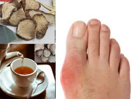 Củ ráy điều trị bệnh gout hiệu quả