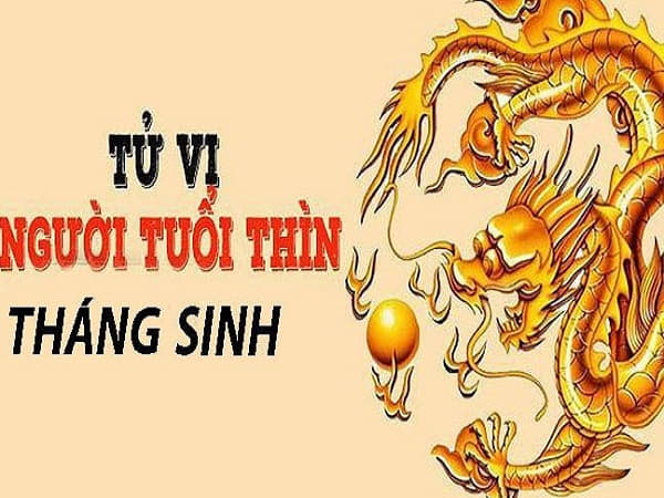 Giải đáp tuổi Thìn hợp tháng nào?