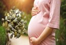 Bà bầu ăn hạt bí được không và nên ăn như thế nào đúng cách