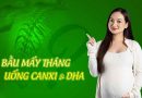 Bầu mấy tháng thì uống canxi và DHA chuẩn khoa học?