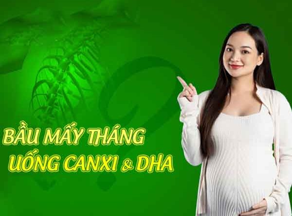 Bầu mấy tháng thì uống canxi và DHA?
