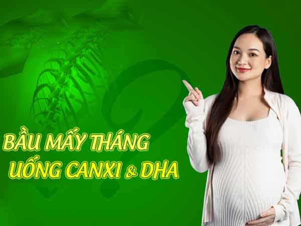 Bầu mấy tháng thì uống canxi và DHA?