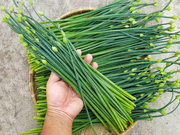 Thành phần dinh dưỡng trong hẹ