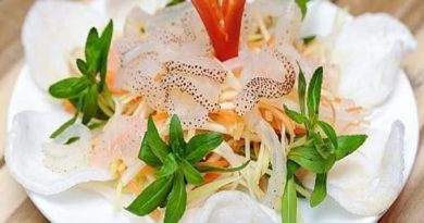 Ăn sứa có tốt không và thông tinh dinh dưỡng cần biết