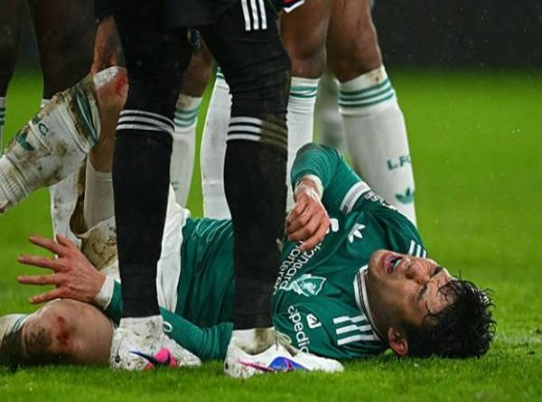 Tin Liverpool: HLV Slot xác nhận Wataru Endo phải nghỉ dài hạn