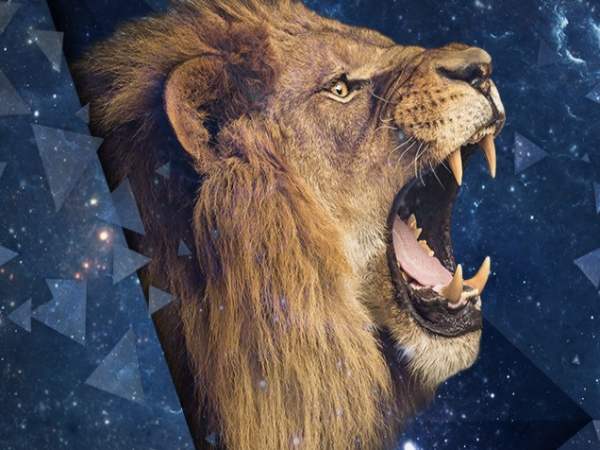 Tổng quan vận trình cung sư tử ngày 5/3 thứ 5 con số phát lộc cung Sư Tử ngày 5/3 thứ 5