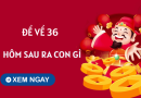 Phân tích đề về 36 hôm sau về con gì, số mấy phát đạt?