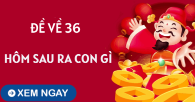 Phân tích đề về 36 hôm sau về con gì, số mấy phát đạt?