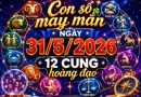 Con số may mắn hôm nay 31/5/2026 chủ nhật 12 cung hoàng đạo