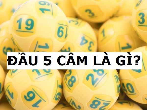 Đầu 5 câm là gì? Đầu 5 câm là gì?