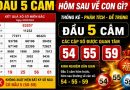 Thống kê đầu 5 câm ra con gì dễ được nhiều người quan tâm