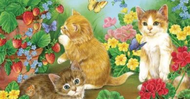 Con số may mắn ngày 10/5 Chủ Nhật tuổi Mão kích tài vận