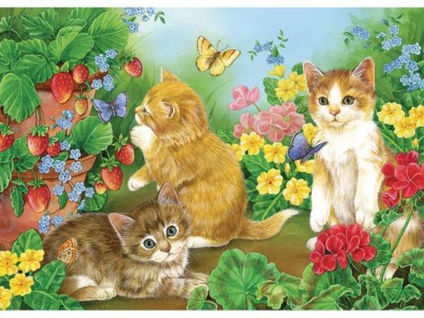 Tử vi tuổi Mão hôm nay ngày 10/5/2026 dự báo điều gì?